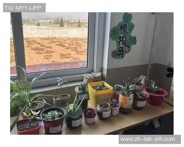 用旧足球打造创意花盆让绿色生活更有趣 用旧足球打造创意花盆让绿色生活更有趣